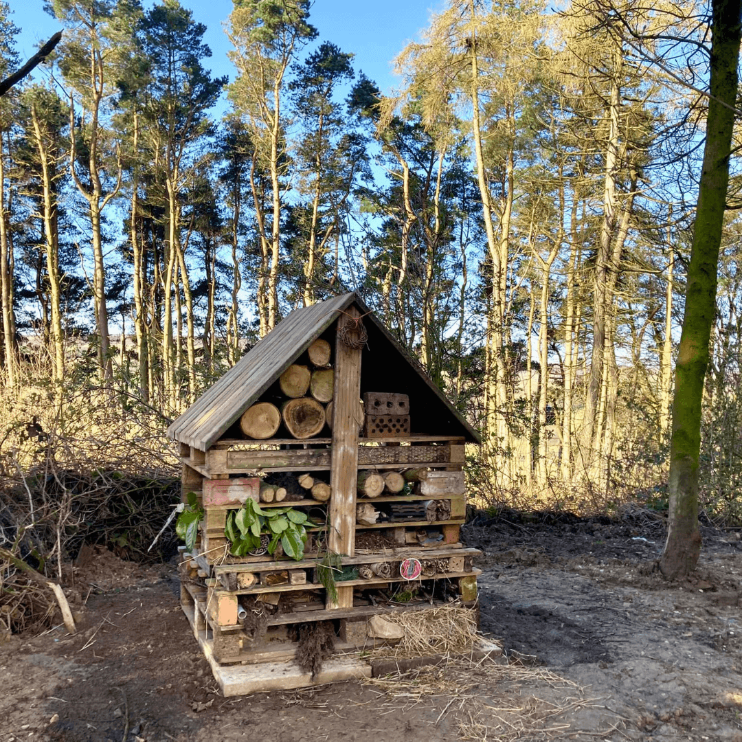 Bug House At Longnor Wood